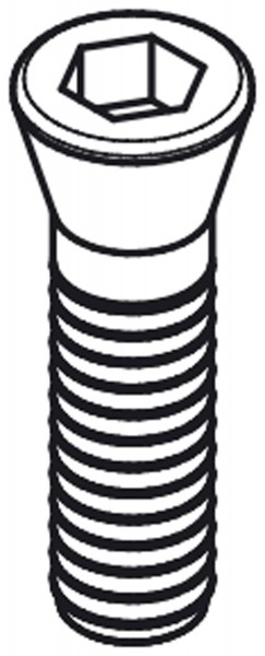 X38072 - Ersatz-Schraube für Spanndorn